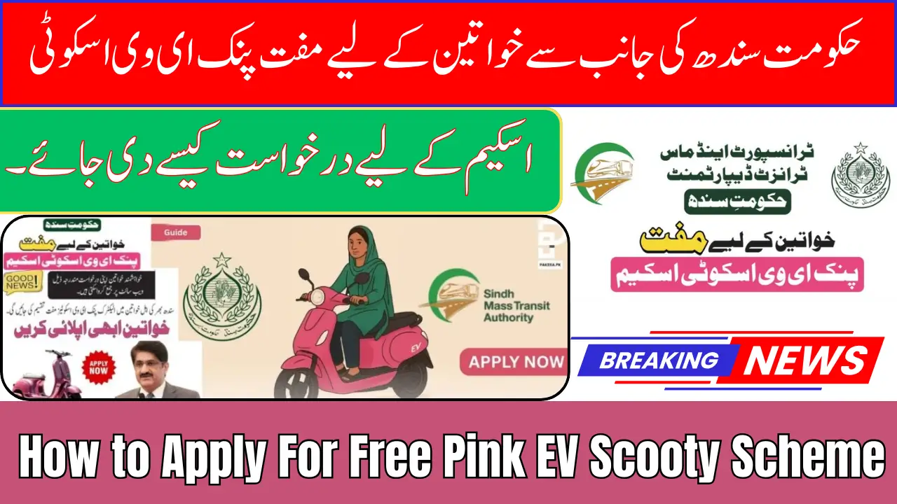 How to Apply For Free Pink EV Scooty Scheme By Govt Of Sindh For Women