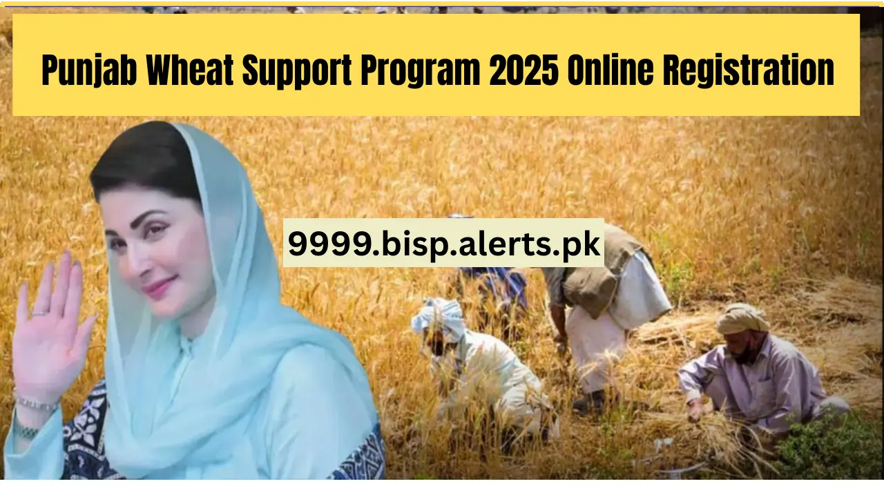 CM Punjab Wheat Support Program 2025 Online Registration Check – Complete Procedure