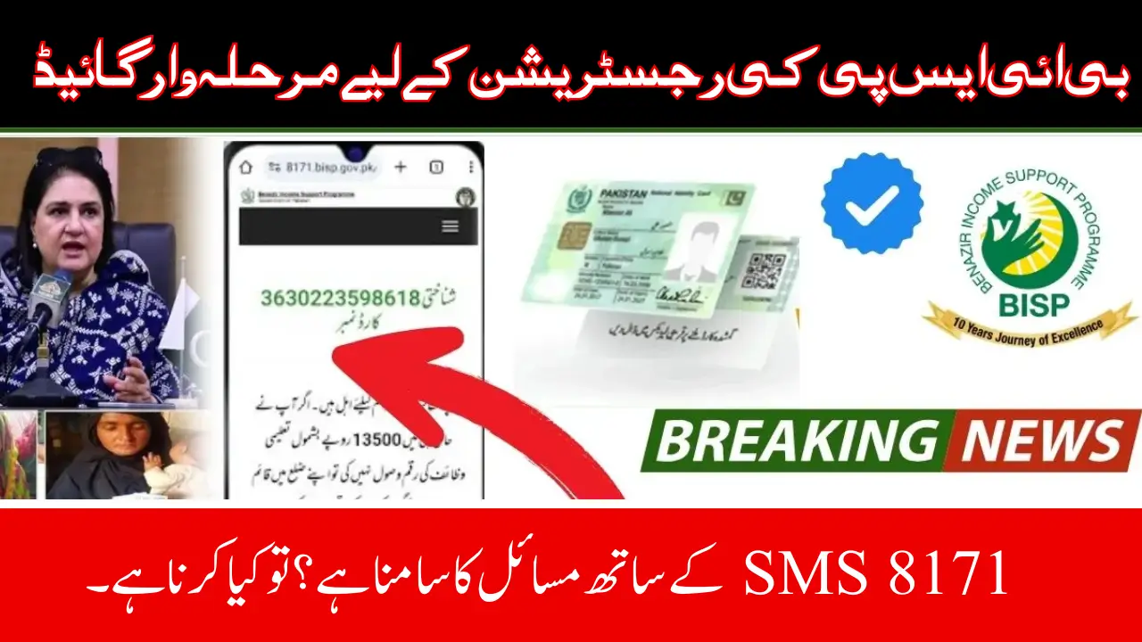 BISP 8171 Payment April 2025 Online Registration Guide Step by Step
